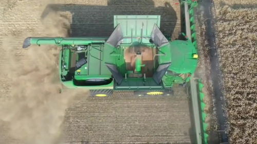 大农业的机械化自动化收割小麦作业,大型收割机行云流水